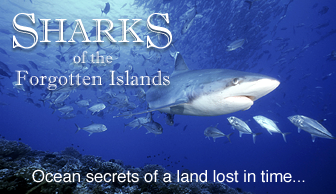 The Sharks of the Forgotten Islands Documentary The Sharks of the Forgotten Islands Documentary